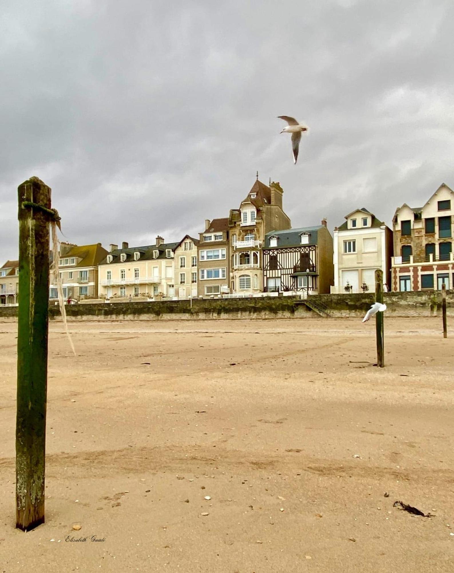 Saint-Aubin-Sur-Mer: Bel Appartement Traversant Dış mekan fotoğraf